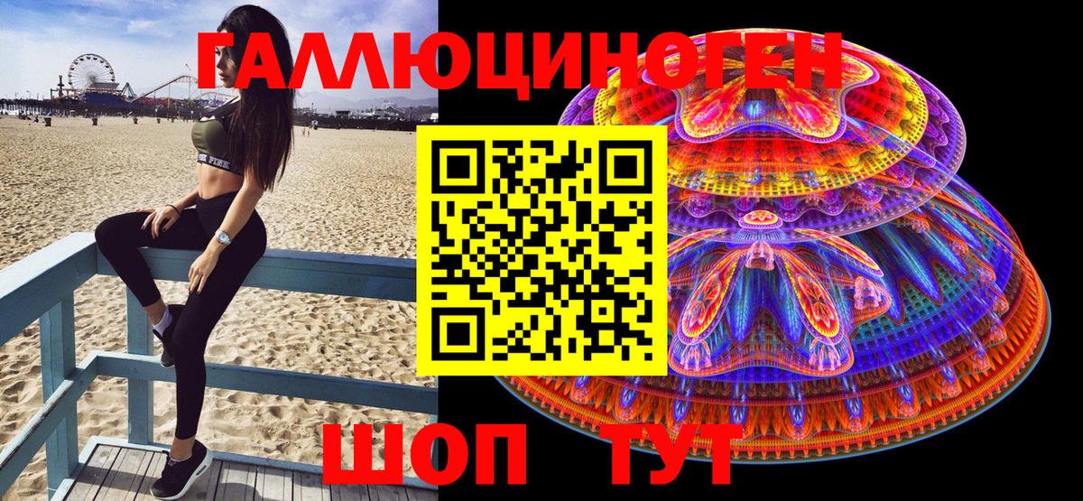 Галлюциногенные грибы Psilocybine cubensis Азов